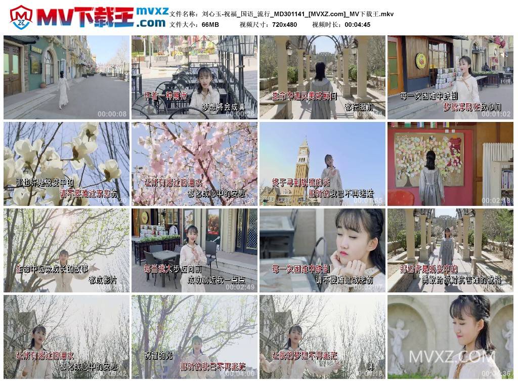 刘心玉-祝福_国语_流行_MD301141